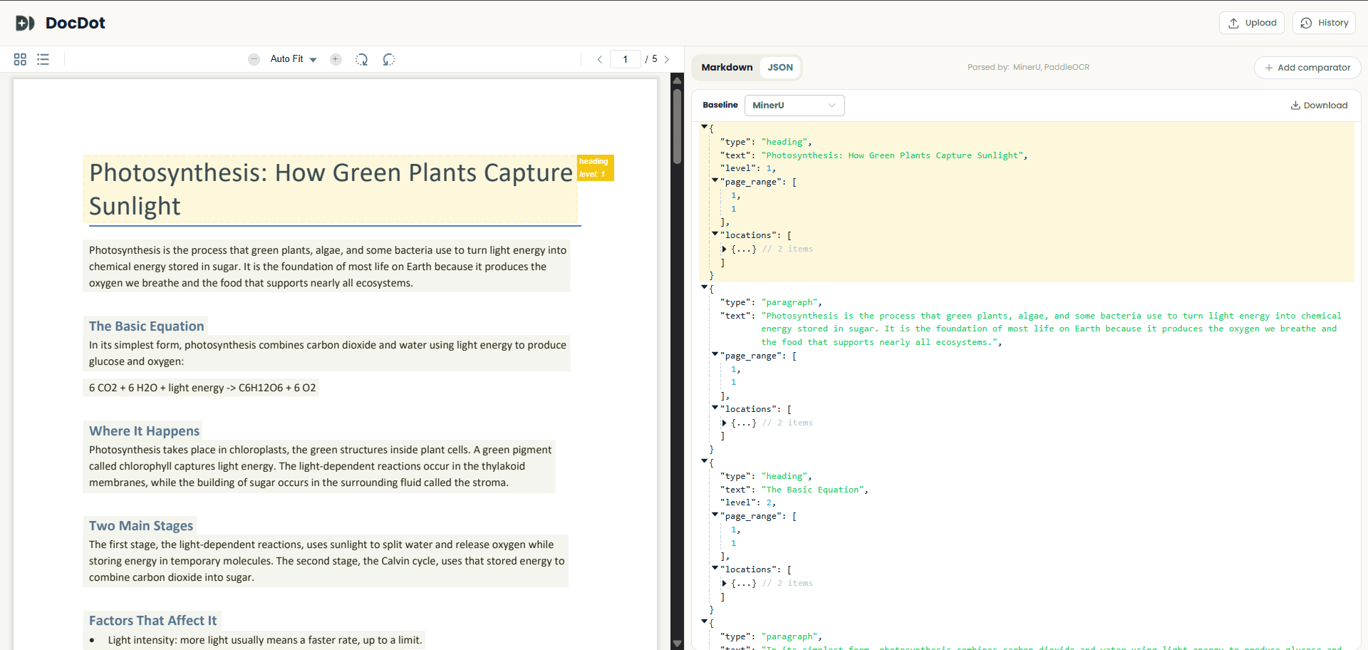 JSON view in the DocDot Web UI